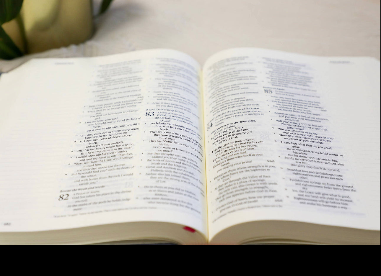God is Within Her Journaling Bible